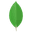 MongoDB